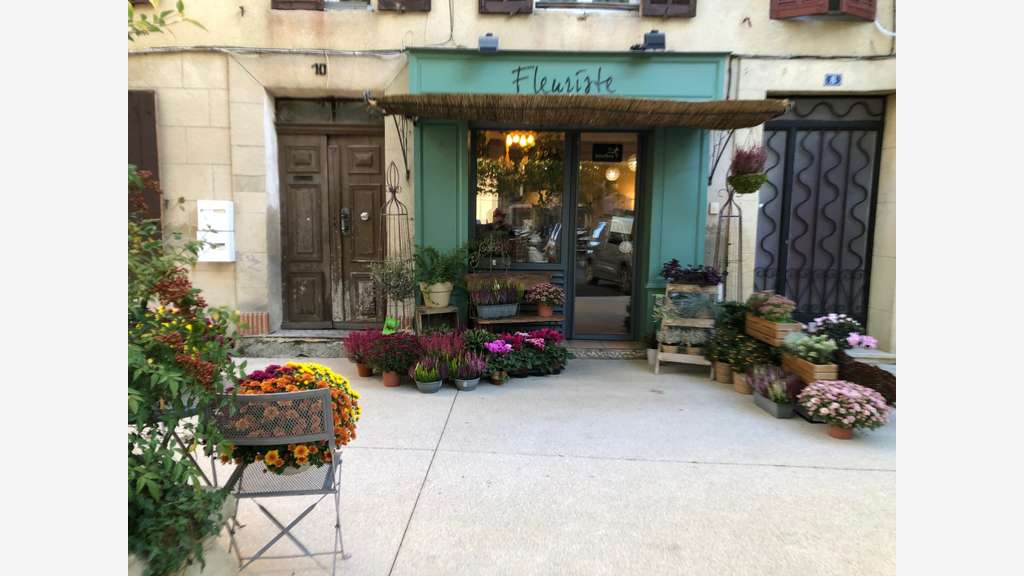 🌸 À vendre boutique de fleurs & décoration (13)