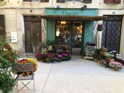 🌸 À vendre boutique de fleurs & décoration (13)