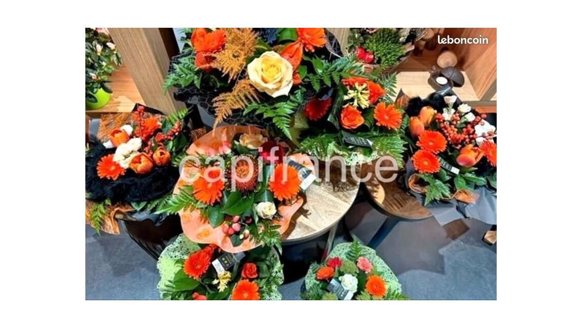 FDC fleuriste à vendre à Carhaix Plouguer (29)