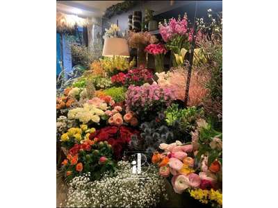 Vente Cadeaux - Fleurs à Fontainebleau