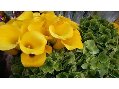 Vente Cadeaux - Fleurs à Paris 12e