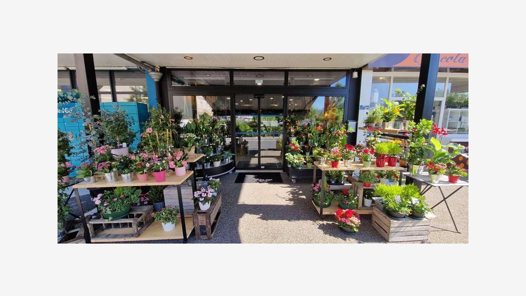 Cède FDC fleuriste 2 magasins à Cournon Le Cendre