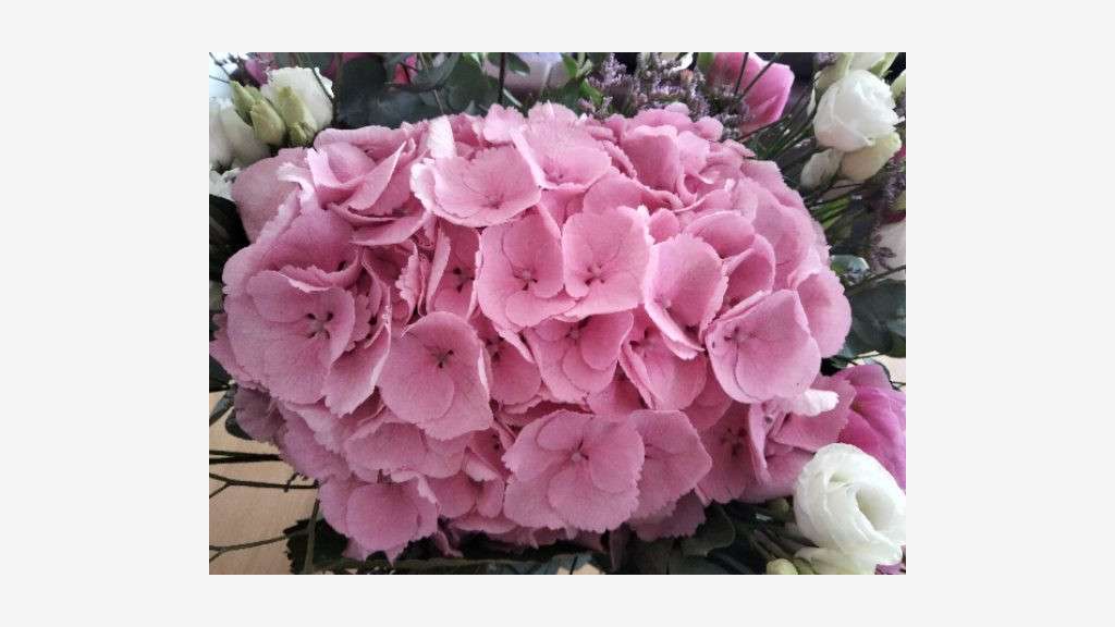 Vente fleuriste traditionnel sur axe passant 75012