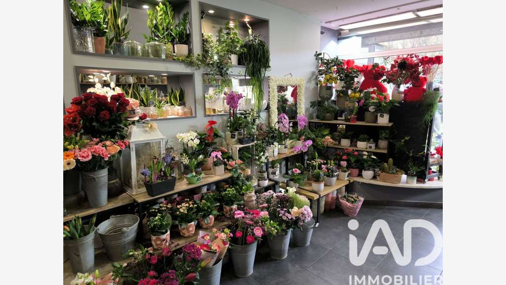 Vente FDC fleuriste à Grigny-sur-Rhône
