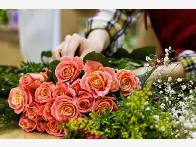 A vendre magasin de fleurs en agglo La Rochelle