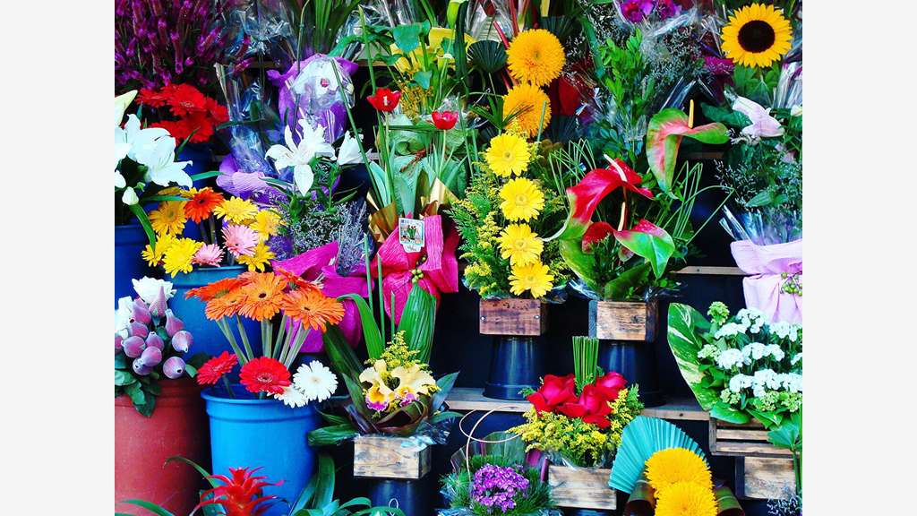 Vente FDC Fleuriste idéalement situé à Laval 