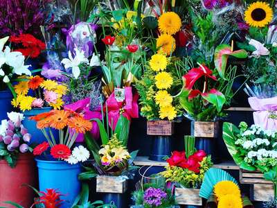 Vente FDC Fleuriste idéalement situé à Laval 