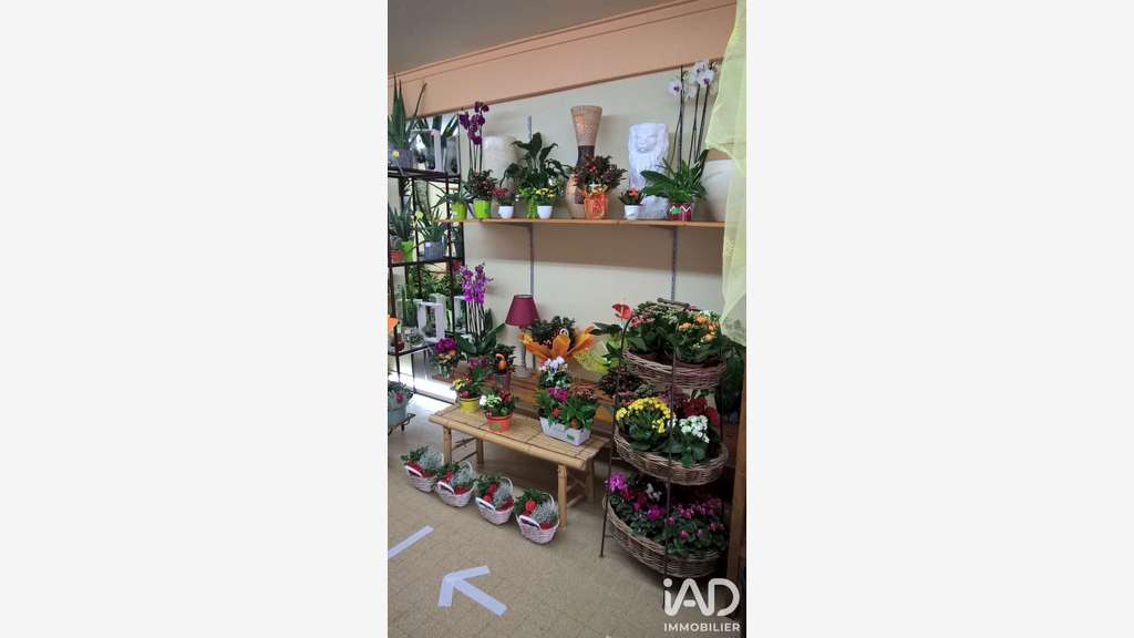 Vente FDC fleuriste à Moirans en Montagne centre