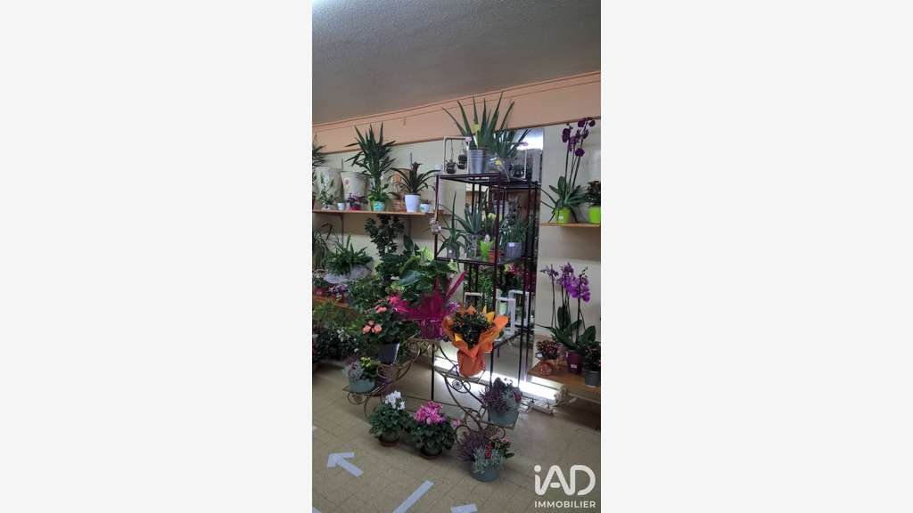 Vente FDC fleuriste à Moirans en Montagne centre