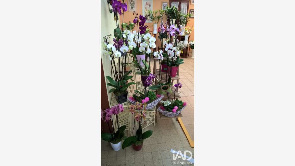 Vente FDC fleuriste à Moirans en Montagne centre