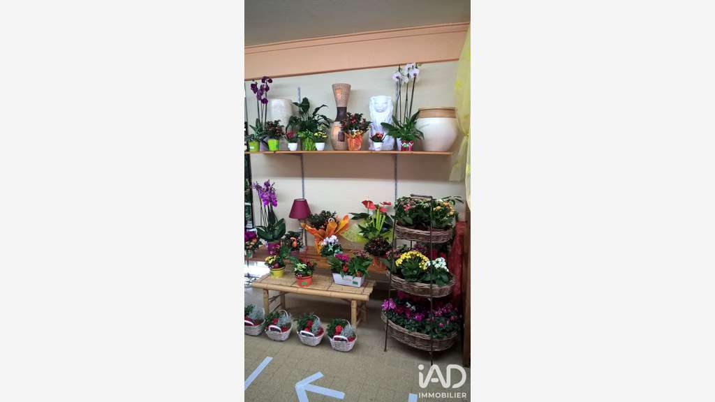 Vente FDC fleuriste à Moirans en Montagne centre
