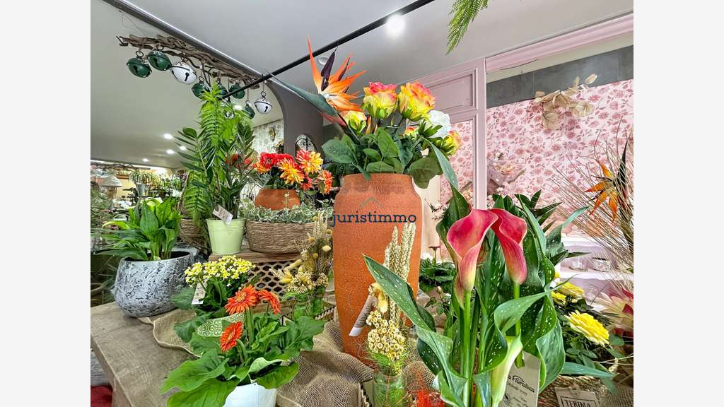 NYONS- Fonds de commerce de fleurs- Emplacement st