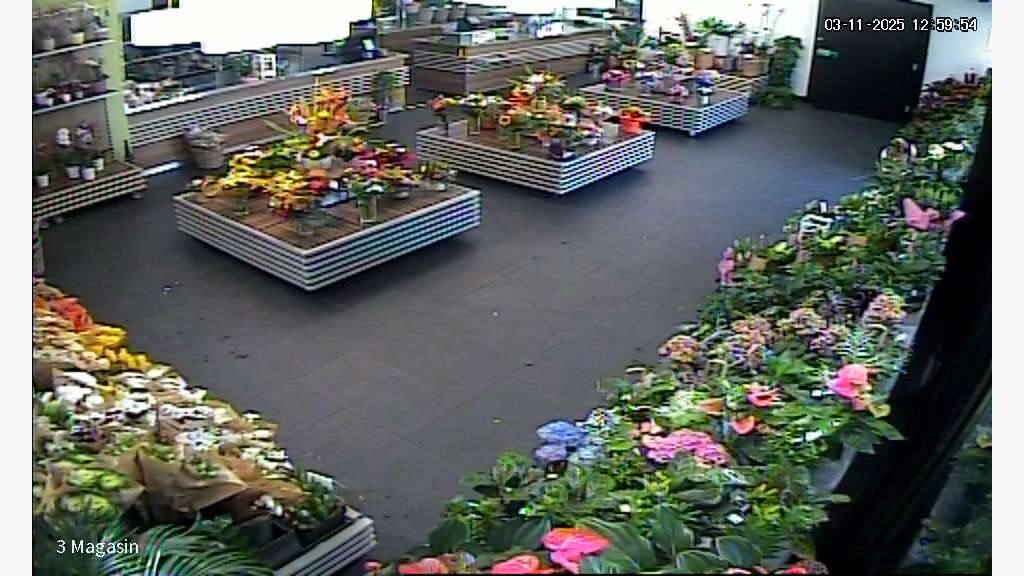 Cession magasin de fleurs leader sur son secteur