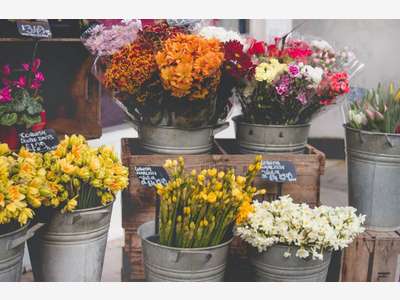 BOUTIQUE DE FLEURS