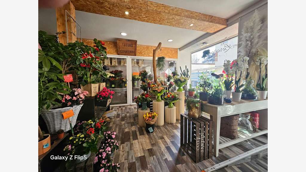 Vente fonds fleuriste à Reims Clinique des Bleuets