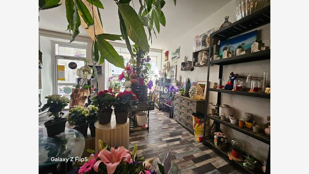 Vente fonds fleuriste à Reims Clinique des Bleuets