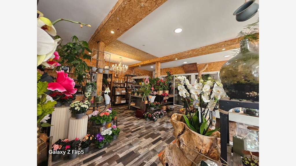 Vente fonds fleuriste à Reims Clinique des Bleuets
