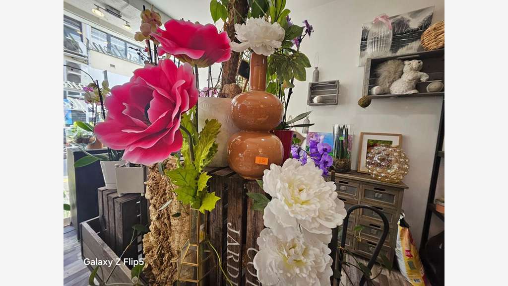 Vente fonds fleuriste à Reims Clinique des Bleuets