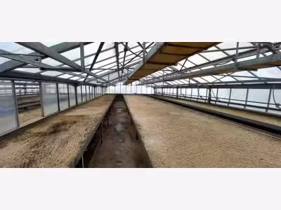 AV Exploitation horticole + commerce fleuriste 42