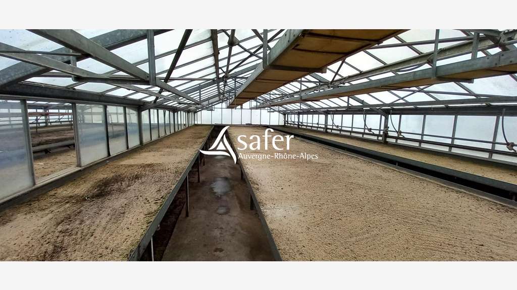 AV Exploitation horticole + commerce fleuriste 42