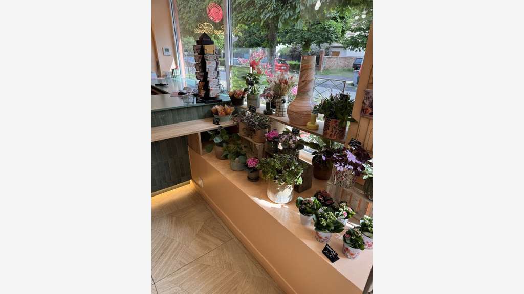 Vente Artisan fleuriste en centre ville Yvelines
