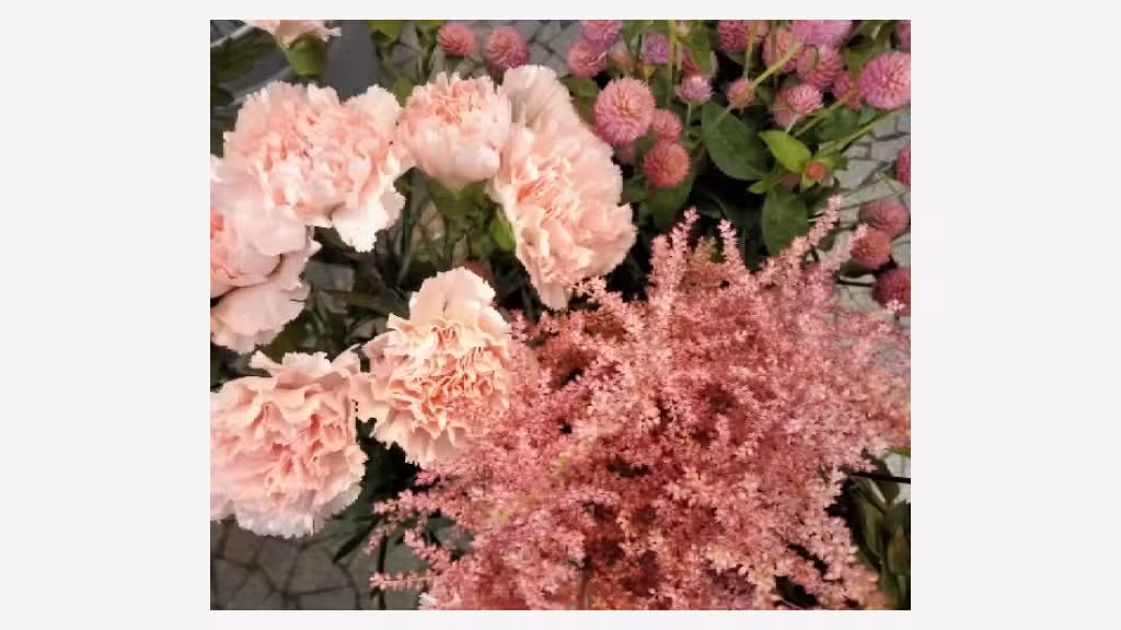 Vente fleuriste traditionnel à Villiers sur Marne