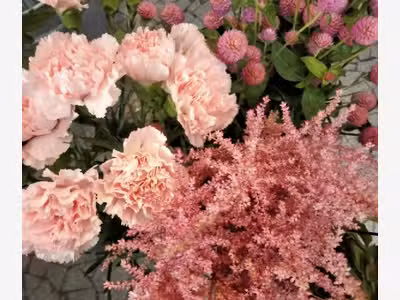 Opportunité à saisir pour ce fleuriste