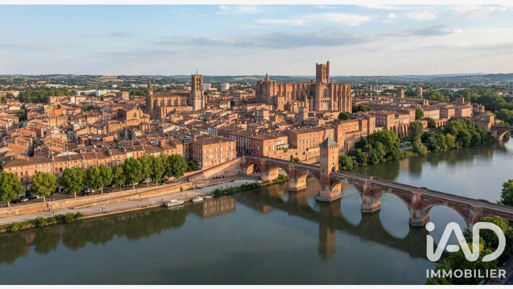 Vente Restauration pizzeria clé en main Montauban