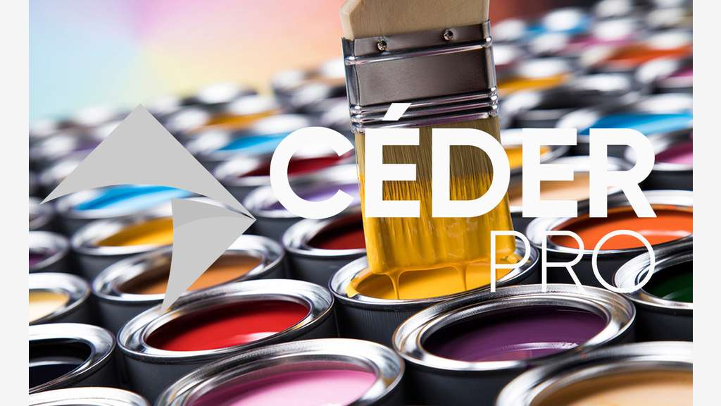 En vente - FDC distribution de peinture (85)
