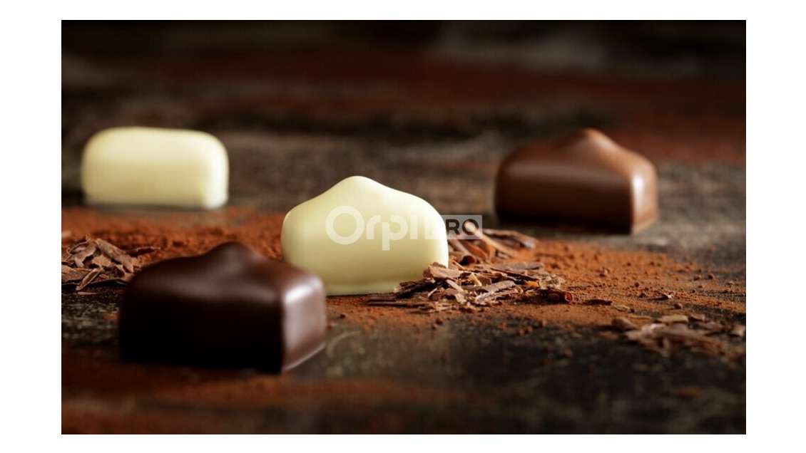 Vente fonds de chocolatier Leonidas à Pluneret