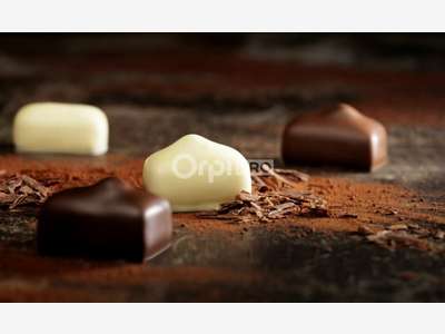 Vente fonds de chocolatier Leonidas à Pluneret