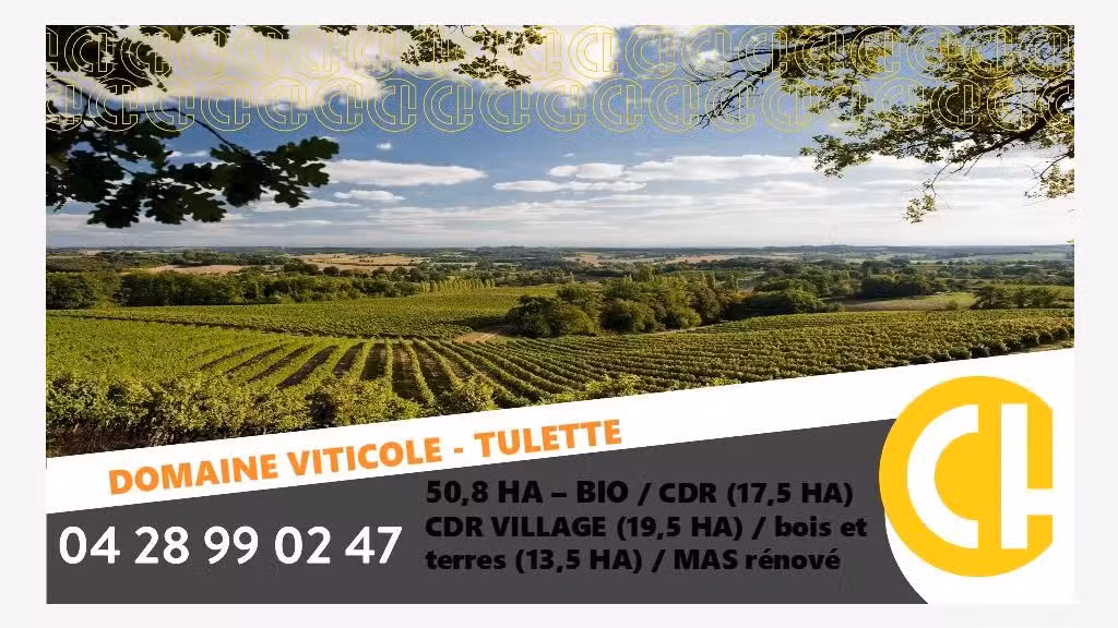 Vente domaine viticole 20.8 ha à Visan Tulette