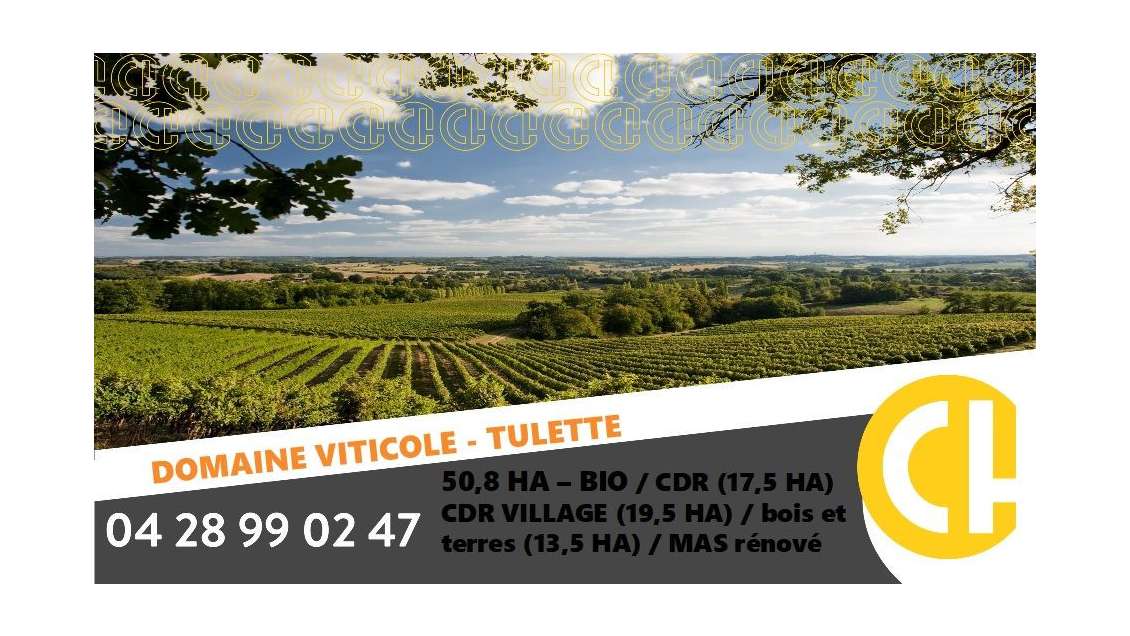Vente domaine viticole 20.8 ha à Visan Tulette