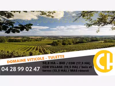 Vente domaine viticole 20.8 ha à Visan Tulette