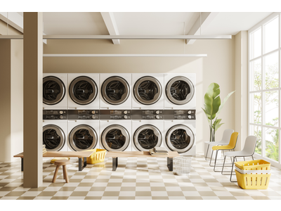 Vente Nettoyage - Laverie - Pressing à Toulouse