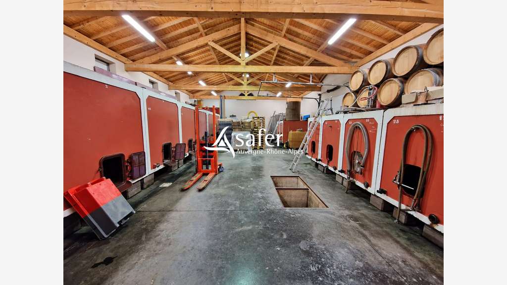 PROPRIETE VITICOLE - CUVAGE AVCE MATERIEL-