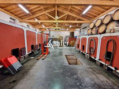 PROPRIETE VITICOLE - CUVAGE AVCE MATERIEL-