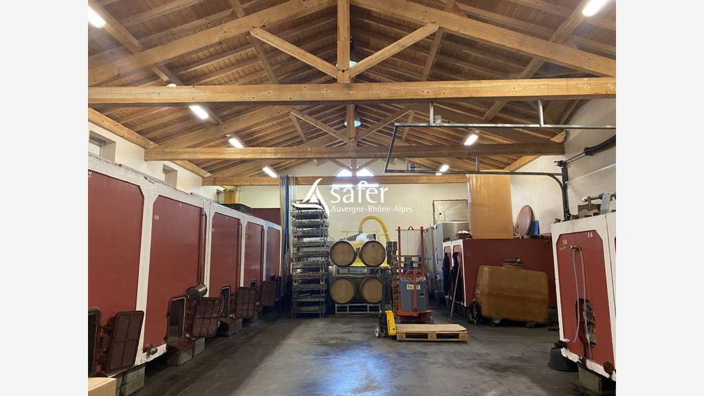 PROPRIETE VITICOLE - CUVAGE AVCE MATERIEL-