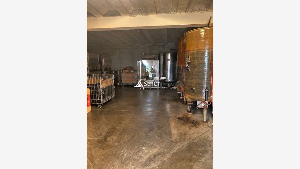 PROPRIETE VITICOLE - CUVAGE AVCE MATERIEL-