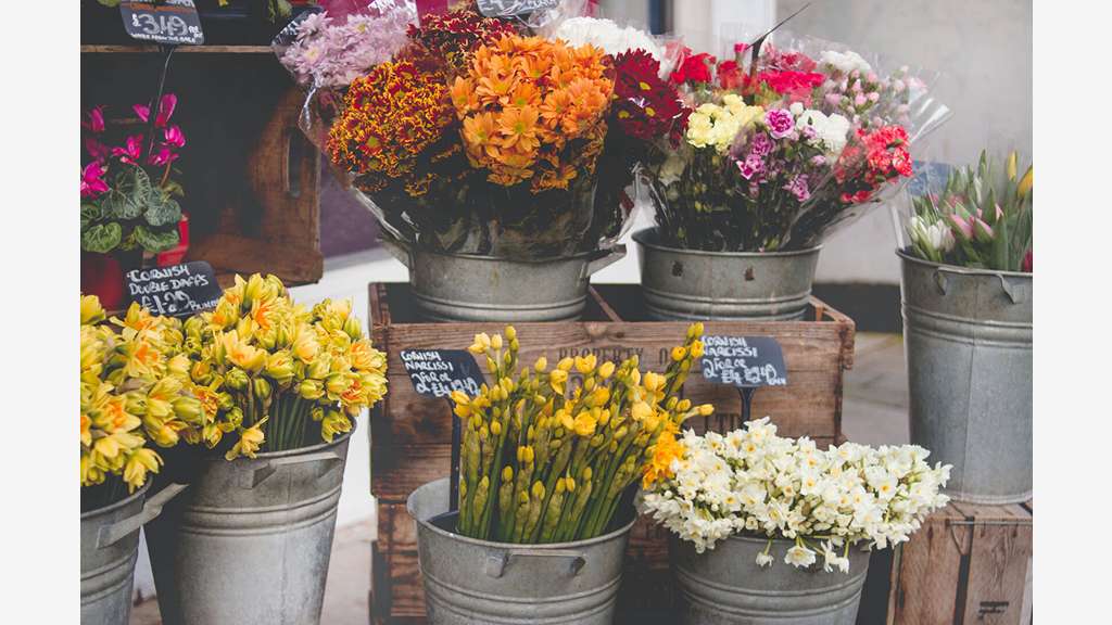 A vendre jardinerie fleuriste clé en main en Orne