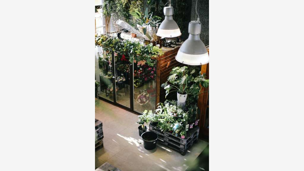 A vendre jardinerie fleuriste clé en main en Orne