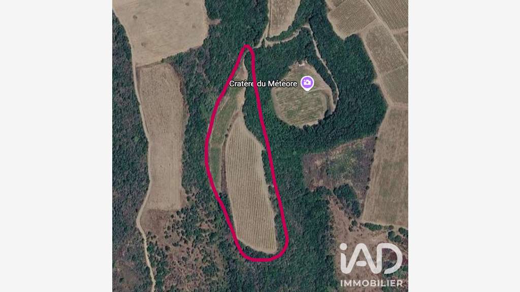 Vente vignoble aop Faugères sur 9.7 ha à Laurens