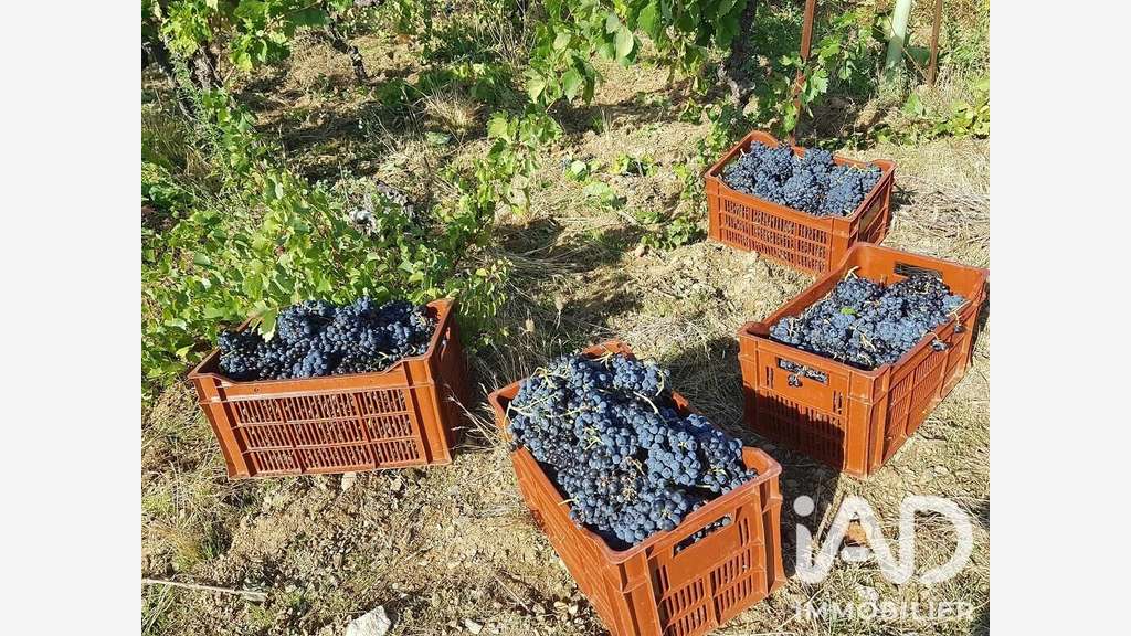 Vente vignoble aop Faugères sur 9.7 ha à Laurens