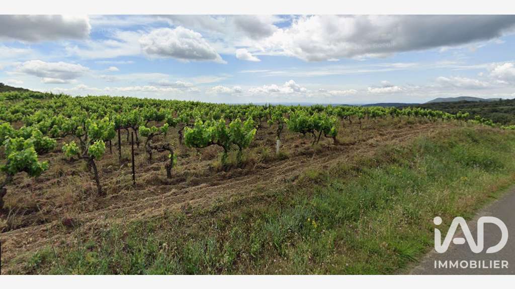 Vente vignoble aop Faugères sur 9.7 ha à Laurens