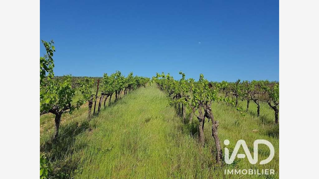 Vente vignoble aop Faugères sur 9.7 ha à Laurens