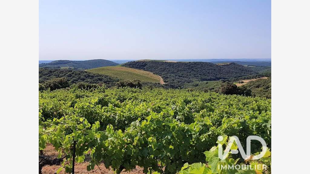 Vente vignoble aop Faugères sur 9.7 ha à Laurens