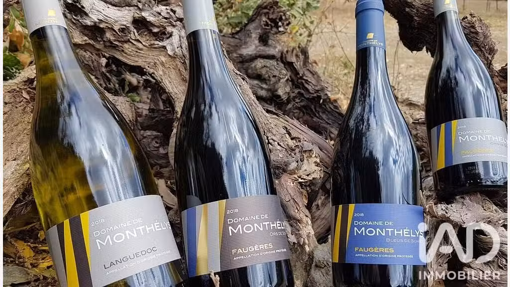 Vente vignoble aop Faugères sur 9.7 ha à Laurens