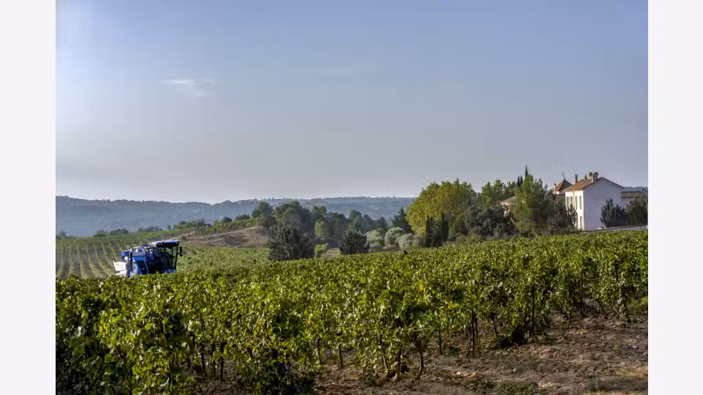 A vendre domaine d'exception aux portes du Luberon