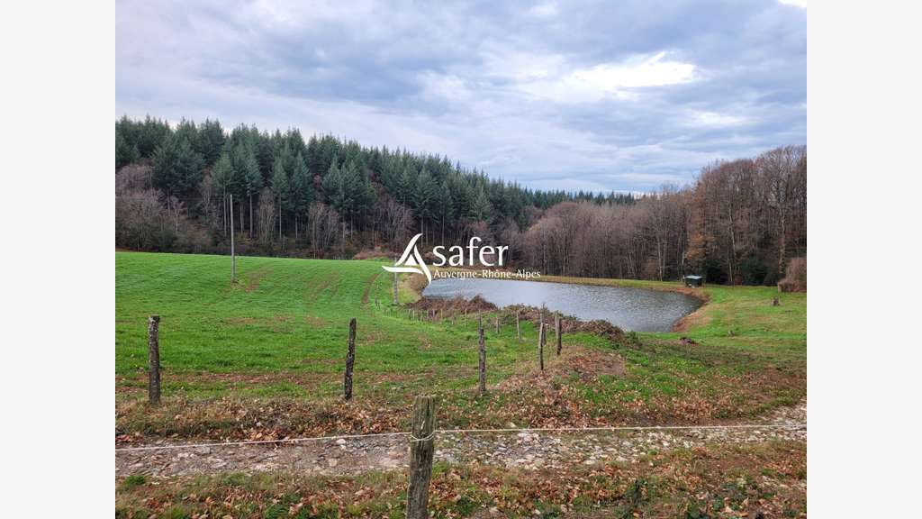 Vente exploitation agricole structure intégrale 15