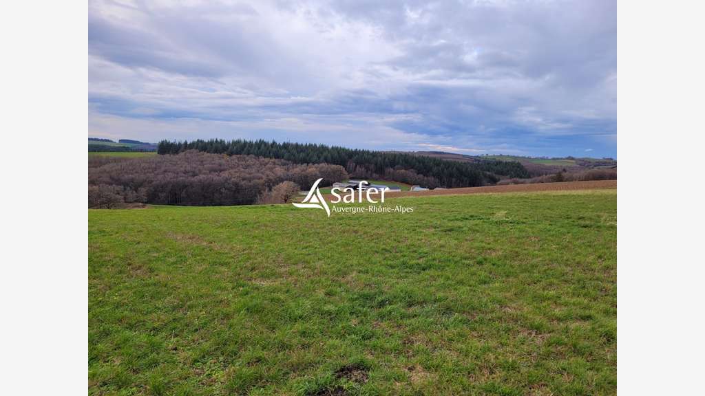 Vente exploitation agricole structure intégrale 15